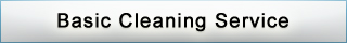 Basic Cleaning Service